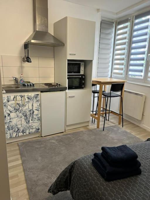 Studio Proche Du Centre-Ville Strasbourg Kültér fotó