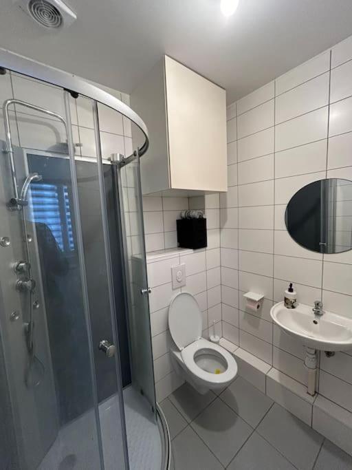Studio Proche Du Centre-Ville Strasbourg Kültér fotó